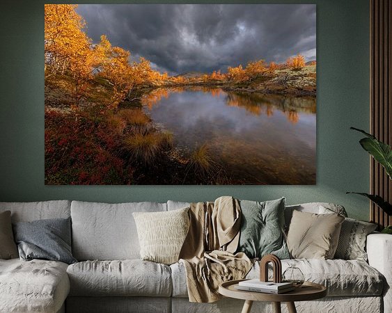 Aperçu de la chambre