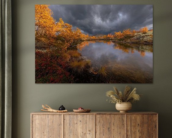 Aperçu de la chambre