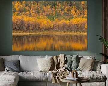 Herfst spiegeling in Noorwegen in oktober van Andy Luberti