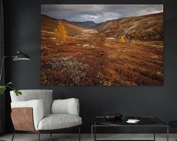 De Herfst in Noorwegen met bergen en dalen van Andy Luberti