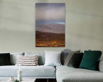 Berglandschap in Noorwegen in de herfst van Andy Luberti