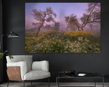 Een droomplek....oude hoogstam fruitbomen tussen koolzaad (Herik) en fluitenkruid van Moetwil en van Dijk - Fotografie