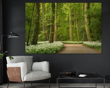 Walking through the flowering ramson forest by Moetwil en van Dijk - Fotografie