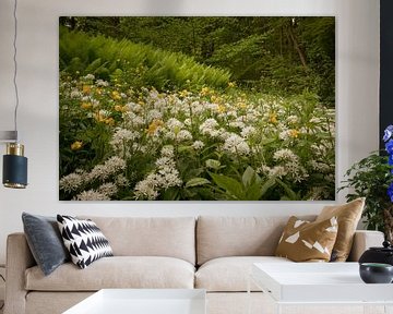 Flowering ramson (Allium ursinum) by Moetwil en van Dijk - Fotografie