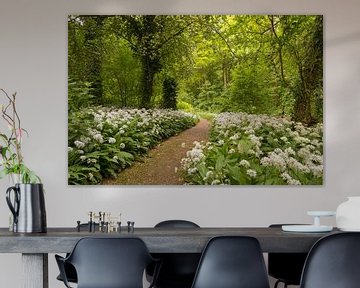 Forêt printanière bordée d'un tapis d'ail sauvage blanc sur Moetwil en van Dijk - Fotografie