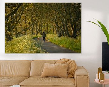 Walker with dogs among cow parsley and surrounded by old walnut trees by Moetwil en van Dijk - Fotografie