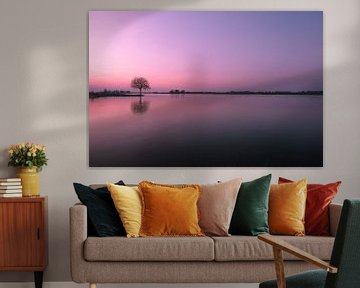 Sunset at river Lek with tree on groyne