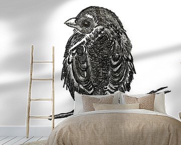 Sperling ( Zeichnung )