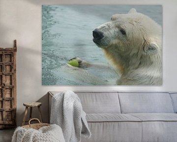 Polar bear  von Renate Peppenster