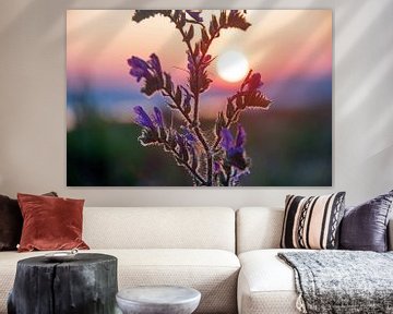 setting sun with purple-lit plant in foreground by wil spijker