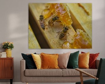 Honigbienen auf Bienenstock-Rahmen von Iris Holzer Richardson