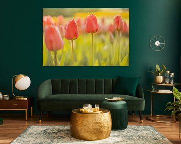 Red Tulips in a floral landscape by Andy Luberti