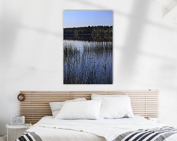 Été au lac d'Aras, Suède sur Imladris Images