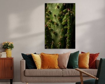 Cactus plant (Close-up) van Ninette
