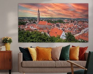 Skyline van Landshut in Beieren van Animaflora PicsStock