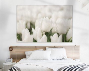 Witte tulpen met regendruppels van Ans Bastiaanssen