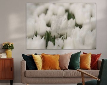 Regendruppels op witte tulpen van Ans Bastiaanssen