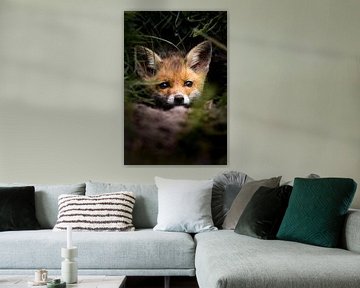 Baby fox in the den | Nature photography by Marika Huisman fotografie