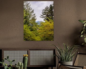 Berg Fuji - Japan (Tokio) von Marcel Kerdijk