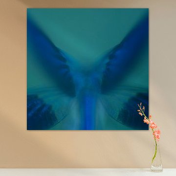 Blue Wings Meadow Damselfly Abstract