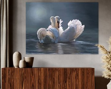 Swans love by W. Vos