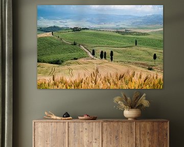 Val d'Orcia en Toscane sur Mark Bolijn