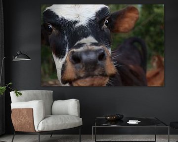 Colombian Cow by Sophie Geurts