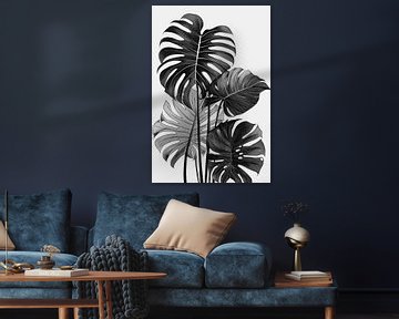 Monstera bladeren, zwart-wit illustratie