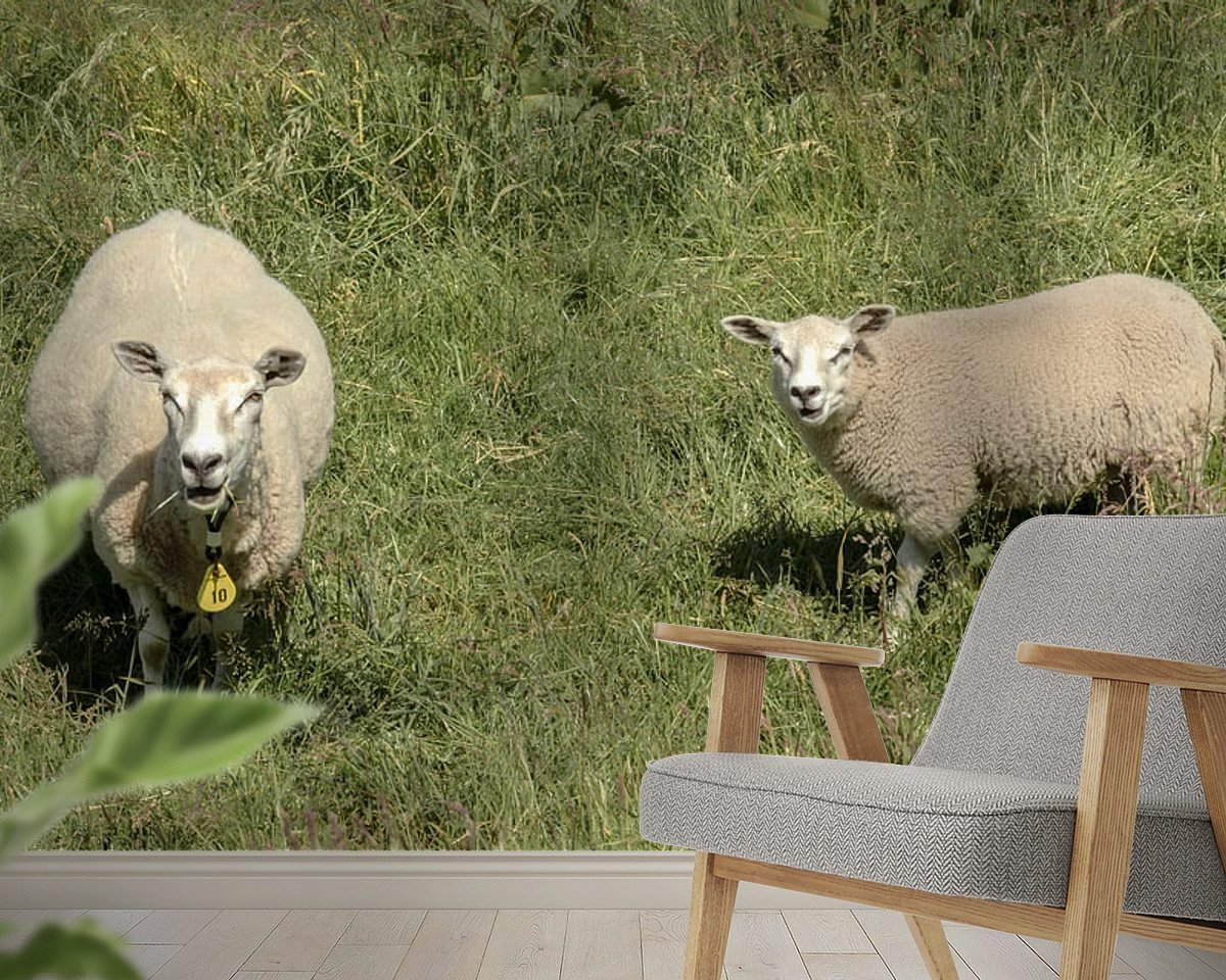 Raumvorschau
