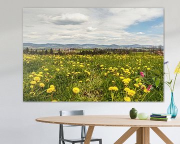 Spring meadow between Thyrnau and Kellberg near Passau, Lower Bavaria by Annabell Gsödl