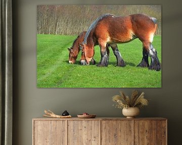 Zeeland by Sjaak Verherbrugge