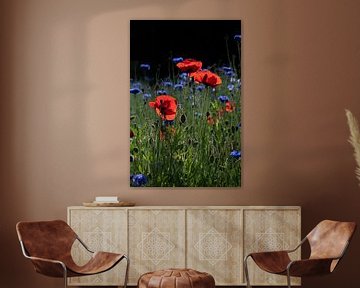 red poppies and blue cornflowers in portrait format by Ulrike Leone