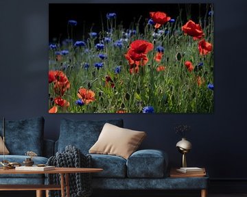 red poppies and blue cornflowers in landscape format by Ulrike Leone