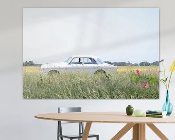 Volvo Amazon oldtimer van Everlien Peters