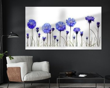 Blaue Kornblumen in einer Reihe von Vlindertuin Art