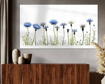 Row of cornflowers floral still life by Vlindertuin Art