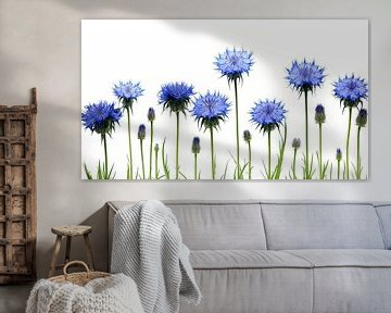 Korenbloemen op een rijtje bloemstilleven van Vlindertuin-Art