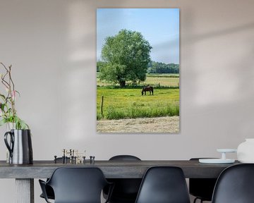 Grazing in the meadow