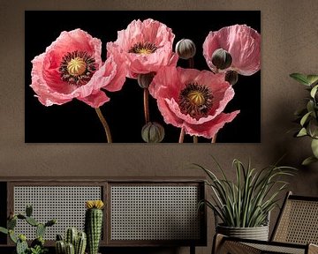 Pink poppies against black background by Vlindertuin Art