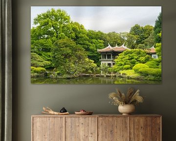 Jardin national de Shinjuku Gyoen (Japon) sur Marcel Kerdijk