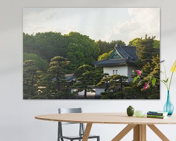 Kaiserpalast Tokio und Nationalgarten Kokyo (Japan) von Marcel Kerdijk