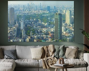 Stadtbild von Tokio (Japan) von Marcel Kerdijk