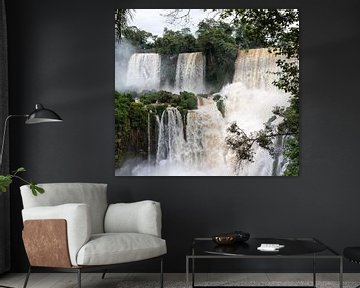 Iguazu Falls (4) by Jolanda van Eek en Ron de Jong