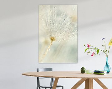 Pastel: Drops on a dandelion fluff by Marjolijn van den Berg