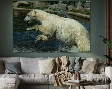 Polar bear sur Renate Peppenster