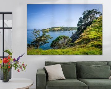 Schöne Bucht auf Waiheke Island, Neuseeland von Troy Wegman