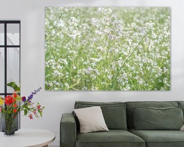 Een veld met wilde radijs in Frankrijk. Wit met paarse bloemen - natuur en reis fotografie. van Christa Stroo fotografie