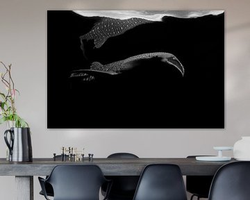 abstract whale shark by Michelle Vanmaele