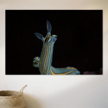 regarder sans regarder