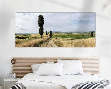 Trail through Val d'Orcia in Tuscany. by Bart Ceuppens